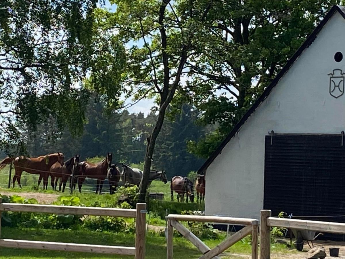 Bondehus - Dansk Bondehus Med Patina Villa Sindal Kültér fotó